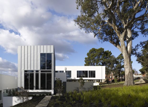 Exterior view of a contemporary multi-level white residence set within a landscaped suburban site. The building features crisp rectilinear volumes, extensive dark-framed glazing, and vertically expressed light facade panels. A broad lawn, mature eucalyptus tree, planted garden, and stepping-stone path surround the house.