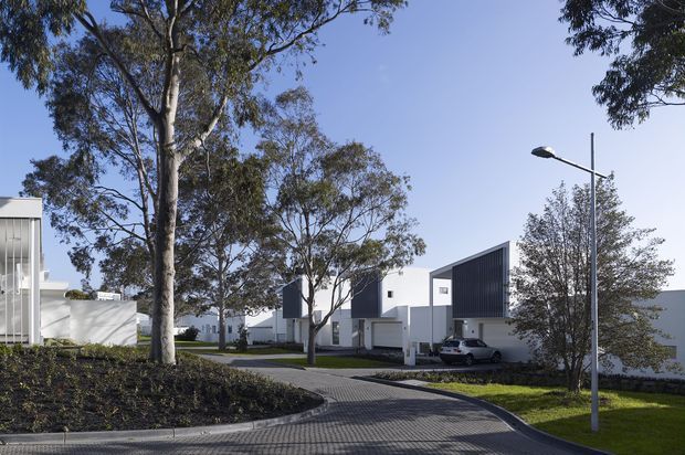 A contemporary residential development viewed from a gently curving paved street, with low white buildings, dark vertical facade panels, simple geometric roof forms, street lighting, and mature eucalyptus trees in landscaped verges. The scene has a clean, planned suburban character under a clear blue sky.