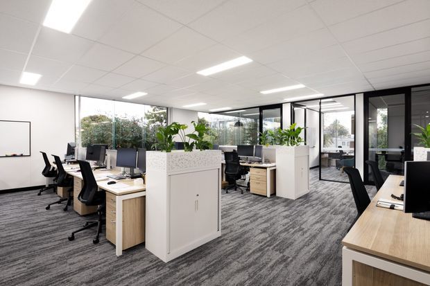 Bright contemporary open-plan office with rows of workstations, black office chairs, light timber desks, white partitioned planter screens, extensive glazing, and grey patterned carpet. The space has a suspended acoustic tile ceiling with recessed rectangular LED lighting and a glass-enclosed meeting room or office at the rear.