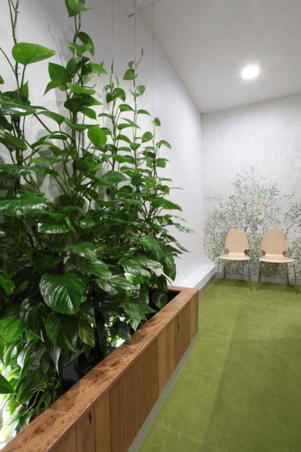 A bright, minimalist interior corner featuring a large built-in planter with lush trailing green plants and timber joinery. The space has a green floor, white walls and ceiling, a softly pixelated mosaic feature wall, and two simple light-wood chairs. Recessed ceiling lighting creates a clean, calm atmosphere.