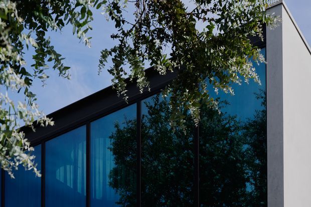 Close-up exterior view of a contemporary building facade, featuring expansive dark-framed floor-to-ceiling blue-tinted glazing reflecting surrounding trees. A crisp white rendered wall rises at the right, while overhanging leafy branches frame the upper portion of the image. The composition emphasizes clean geometric lines, strong contrast, and integration with landscaped surroundings.