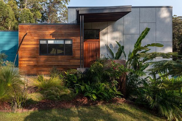 Front exterior view of a compact modern single-storey dwelling set within dense tropical-style landscaping. The facade combines warm horizontal timber cladding with large smooth grey panelled surfaces, a dark projecting flat roof canopy, dark-framed glazing, and a timber entry door. Layered planting and grasses occupy the foreground, while a turquoise side wall is visible at left.