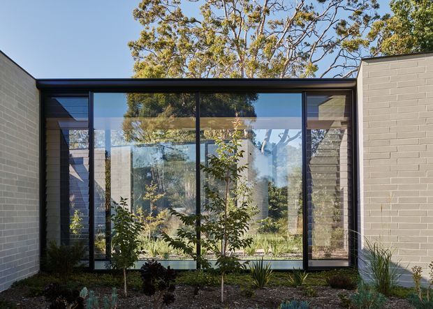 A low, modern single-storey building facade framed by pale rendered or painted brick walls, with a broad floor-to-ceiling glazed central section and dark slender window frames. The glazing reflects mature trees and opens visually onto a landscaped garden, while a narrow planted bed with shrubs and ornamental grasses sits in the foreground. The composition is rectilinear and minimalist, with a flat roofline and strong indoor-outdoor connection.