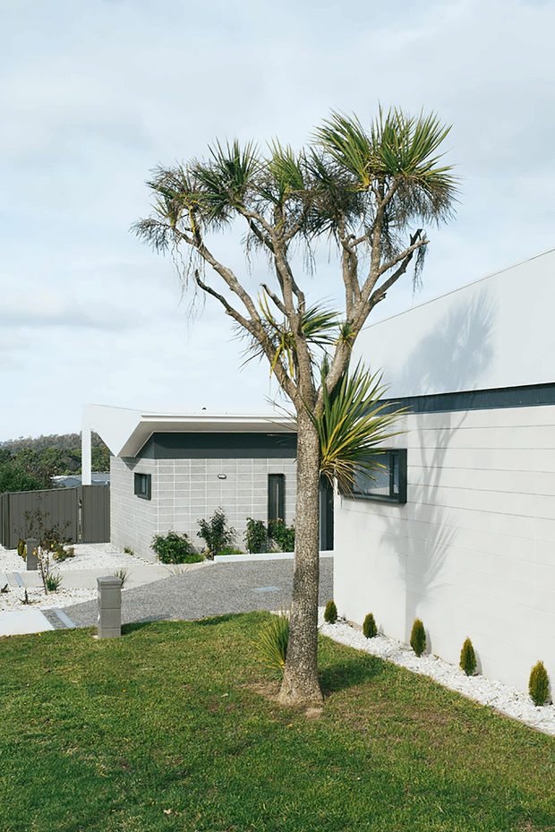 Exterior view of a low-rise contemporary residence with crisp white rendered walls, dark horizontal trim, and a grey concrete-block outbuilding. The landscaped front yard features a sculptural cabbage tree, lawn, white gravel garden beds, small clipped shrubs, paved paths, and a grey privacy fence. The architecture has clean geometric forms and restrained modern detailing under a bright overcast sky.