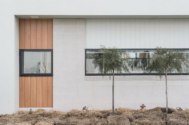 A minimalist contemporary building facade with a long horizontal clerestory-style window and a smaller dark-framed window set within warm vertical timber cladding. The central wall is finished in pale rendered or painted masonry block, while slender ornamental trees and dry landscaping sit in front of the building. The composition is restrained and geometric, with a low, horizontal profile and a neutral palette accented by natural timber.