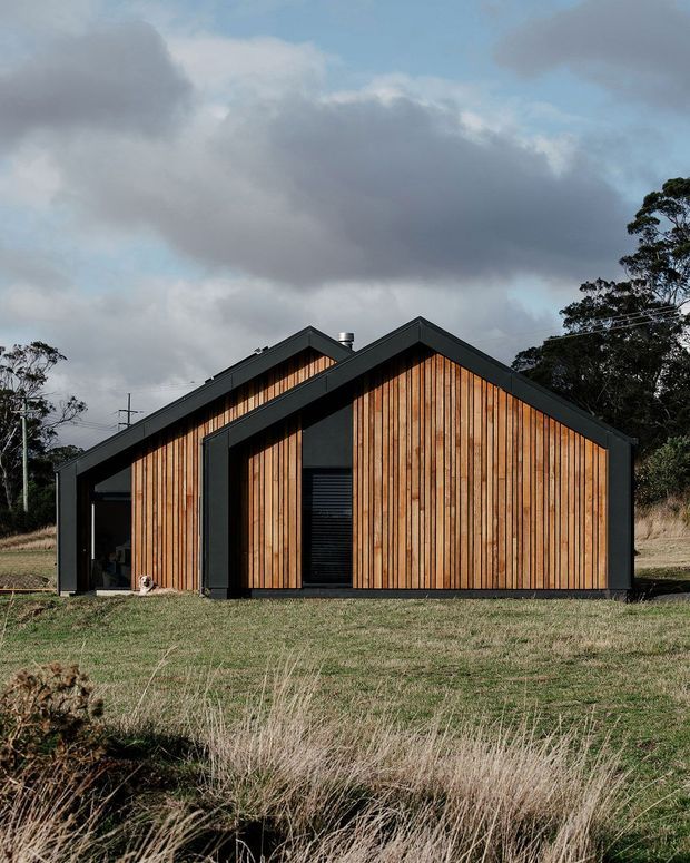 Exterior view of a compact contemporary house set in a rural, lightly wooded landscape. The facade combines warm vertical timber cladding with dark charcoal framing and roof edges. Two adjoining steep gabled roof forms create a simple barn-like silhouette, with a recessed dark entry and narrow high-level glazing. The scene is photographed under an overcast sky with dry grass and trees surrounding the building.