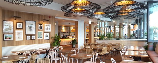A stylish contemporary restaurant or café dining area with numerous timber tables and woven chairs, a wood-panelled feature wall displaying framed artwork, a long built-in bench, a back bar with shelving and warm lighting, indoor plants, and large glazed windows. Several oversized black wire pendant lights with warm amber shades hang above the seating area.