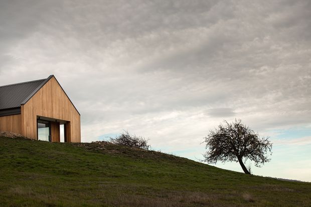 A minimalist timber-clad gable-roof building sits on a gently sloping grassy site beneath an overcast sky. The simple facade features vertical warm-wood cladding, a dark metal pitched roof, and a deeply recessed glazed entry or opening. A solitary leafless tree stands nearby, reinforcing the rural, open setting.