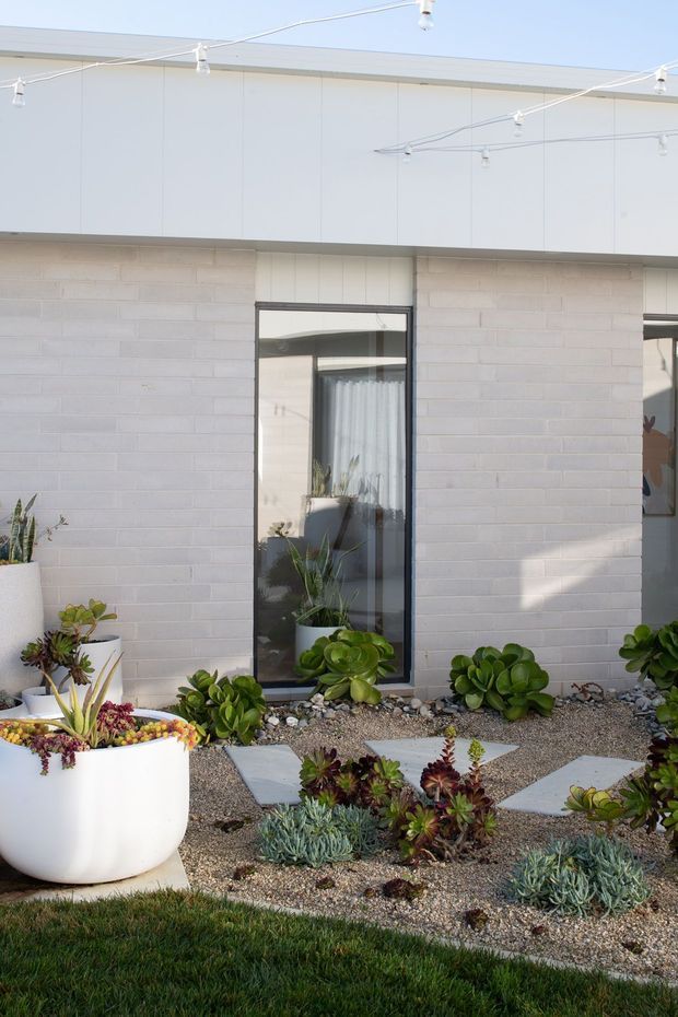 Exterior view of a minimalist single-storey building with a white painted block wall, broad flat roof canopy, dark-framed vertical window, and a landscaped succulent garden. Gravel ground, geometric stepping stones, large white planters, and festoon lighting define the front courtyard.