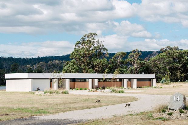 Single-storey modern residence set in a spacious rural or bush-edge landscape. The long, low building has a strong horizontal flat roof, white rendered or painted walls, deep covered outdoor walkways, timber-toned elements, and large openings between structural columns. A gravel driveway and landscaped foreground lead toward the house, with dense native-looking vegetation and low wooded hills beyond.