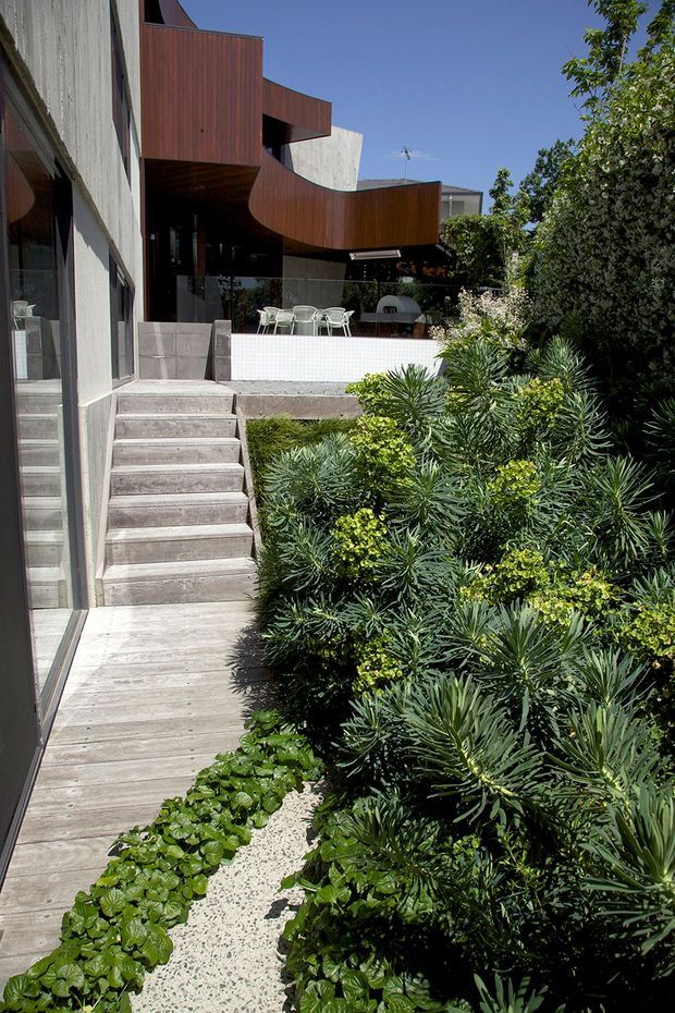 Exterior view of a contemporary multi-level residence with sculptural curved reddish-brown timber-clad forms, pale concrete walls, extensive glazing, and a raised outdoor terrace with dining furniture. Timber decking, concrete steps, and dense landscaped planting form the foreground garden walkway.