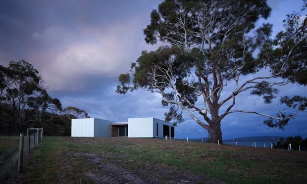 A low, minimalist rectangular building set on a grassy elevated site, clad in pale corrugated panels with dark recessed glazing and a simple flat roof. A large eucalyptus tree dominates the foreground, with distant blue water or landscape visible beyond the property under a dramatic dusk sky.