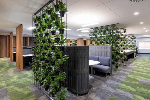 Open-plan commercial office interior with clustered workstations and booth seating, divided by black fluted acoustic screens and tall vertical plant partitions. The space has a suspended grid ceiling with recessed lighting and circular pendant fixtures, timber slatted and wood-finished screens, and a patterned green and grey carpet. The overall design is contemporary, functional, and biophilic.