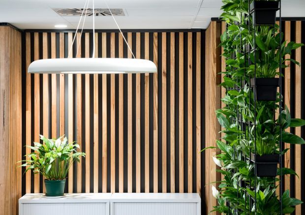 A modern interior feature wall composed of alternating vertical timber slats and dark recessed strips, positioned behind a low white built-in cabinet. A large streamlined white pendant light hangs from the ceiling, while abundant green plants are arranged in black vertical planters along the right side and in a pot on the cabinet. The space has a refined biophilic office or commercial interior feel.