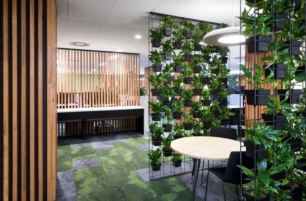 A contemporary commercial workspace or meeting area featuring dense suspended and freestanding greenery screens, vertical timber battens, built-in bench seating, a round light timber table, black chairs, and patterned green and grey carpet tiles. The space has a white tiled ceiling, integrated lighting, and a bright, biophilic office interior.