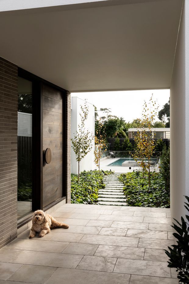 Covered residential entryway opening onto a landscaped courtyard and swimming pool. The space features a large timber pivot door set within dark brickwork, pale stone-look tiled paving, white rendered walls, and a garden path of regularly spaced concrete stepping slabs. A small dog is present near the entrance.
