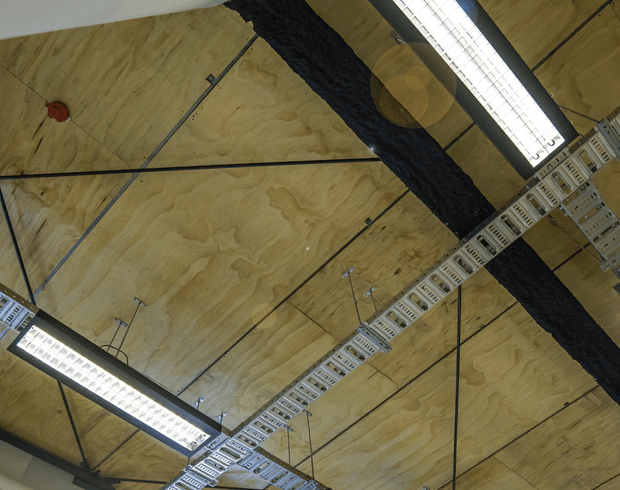 Upward-looking view of an exposed plywood ceiling with large dark structural beams, visible panel joints, suspended electrical cable trays, and long linear fluorescent light fixtures. The utilitarian fit-out has a raw industrial character.