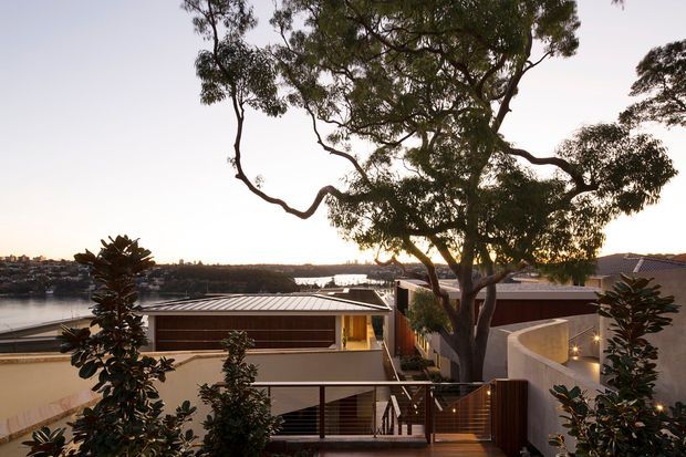 Elevated exterior view of a contemporary multi-level residence overlooking a broad waterfront or estuary. The home features pale rendered walls, dark horizontal cladding, low-pitched metal roofing, timber screening and decking, landscaped planting, and a curved rendered boundary wall. A large mature tree frames the view, with water and distant urban development visible beyond.