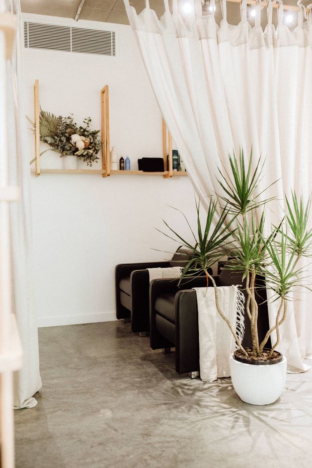 Bright, minimalist interior with white walls and sheer curtain partitions, a concrete-look floor, black upholstered lounge chairs, and tall potted dracaena plants. A simple timber wall shelf displays dried botanicals and small objects, creating a calm studio or treatment-room atmosphere.