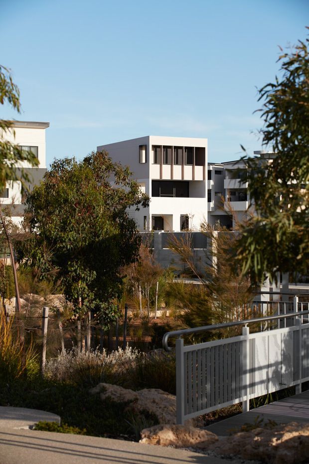 Exterior view of a contemporary multi-storey residential development, with crisp white and grey cubic forms, large dark-framed windows, balconies, and landscaped native planting. The foreground includes a pedestrian bridge or elevated walkway with a grey slatted metal balustrade. Warm low-angle sunlight and mature vegetation soften the modern architecture.