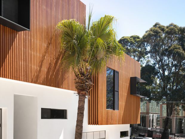 Exterior architectural photograph of a contemporary multi-level building with warm vertical timber-look cladding, crisp white rendered lower walls, and dark-framed windows. A tall palm tree stands directly in front of the facade, while mature trees and neighboring structures are visible beyond. The composition emphasizes the projecting upper volume, strong vertical rhythm, and contrasting natural and dark metal elements.