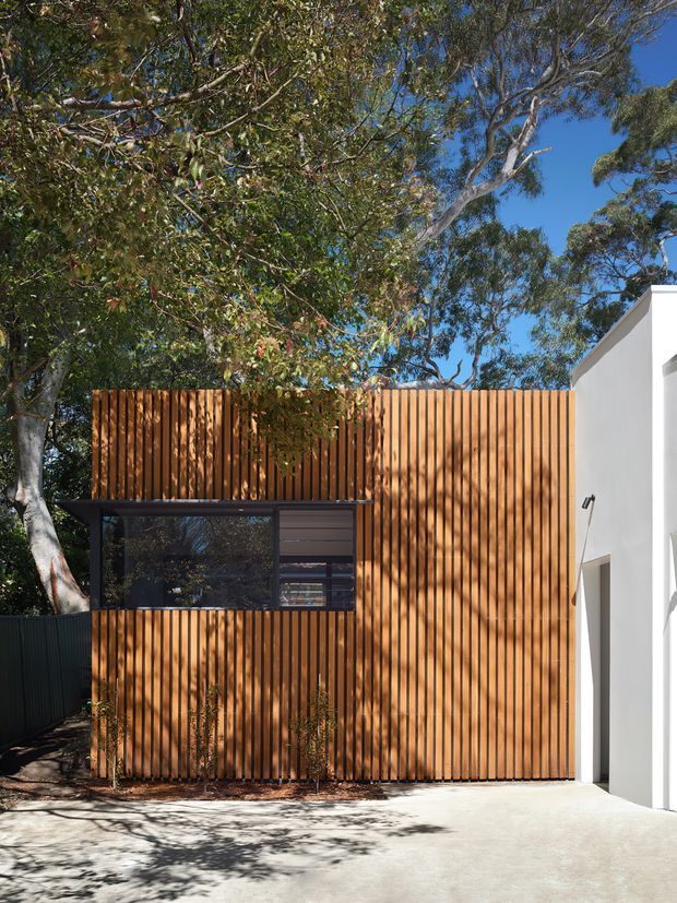 Exterior view of a contemporary residential addition or facade, featuring a tall vertical timber batten screen in warm brown tones, dark-framed glazing, and crisp white rendered walls. Mature trees surround the structure, casting dappled shadows across the pale concrete forecourt.