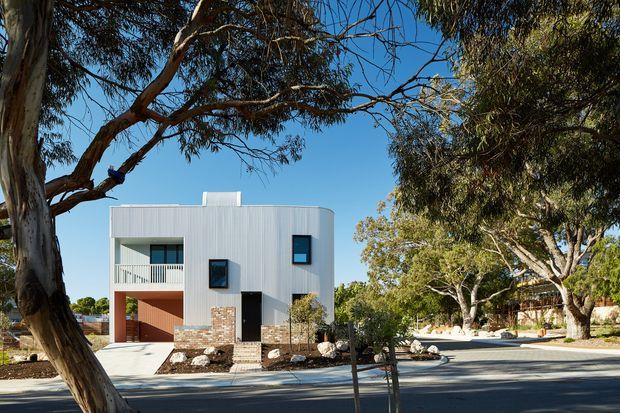 Street-facing view of a contemporary two-storey residence set among mature eucalyptus trees. The building has a compact rectilinear form with pale corrugated metal cladding, dark-framed windows, a recessed balcony, exposed brickwork at the lower level, and a flat roof with a small rooftop projection. A paved driveway and landscaped front garden sit between the house and the street.