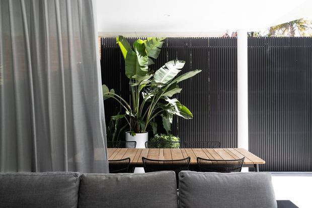 Bright contemporary living space opening onto a covered outdoor dining area. A grey sectional sofa and full-height grey curtains frame a timber dining table with woven chairs, backed by a tall black vertical-slat privacy screen and large tropical potted plants.