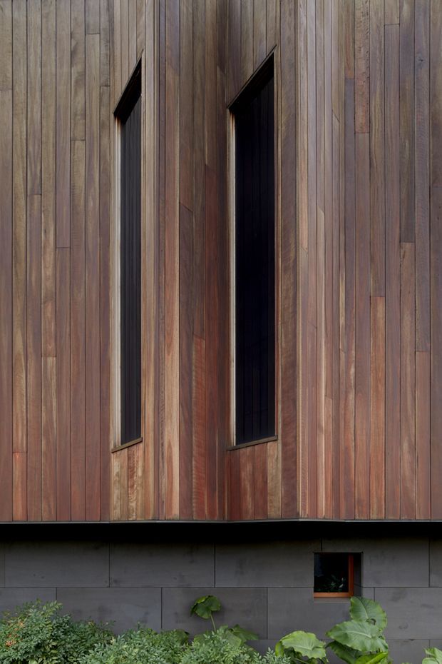 Close-up exterior view of a contemporary building facade clad in vertically arranged, varied-toned timber boards. Two tall, narrow recessed dark window openings punctuate the upper wall, while the lower level has large dark grey panel cladding and a small square window. Dense planting is visible along the base.