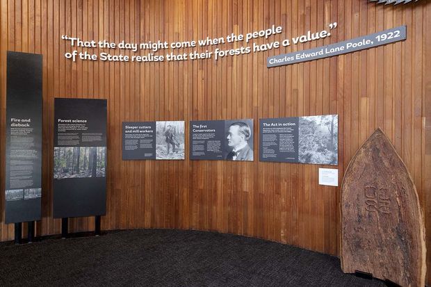 Interior view of a museum or educational exhibition space featuring a curved wall clad in vertical timber battens, interpretive panels about forestry and conservation, a large historical quote, and a displayed carved timber artifact. The space has dark carpet flooring and a subdued, gallery-like atmosphere.