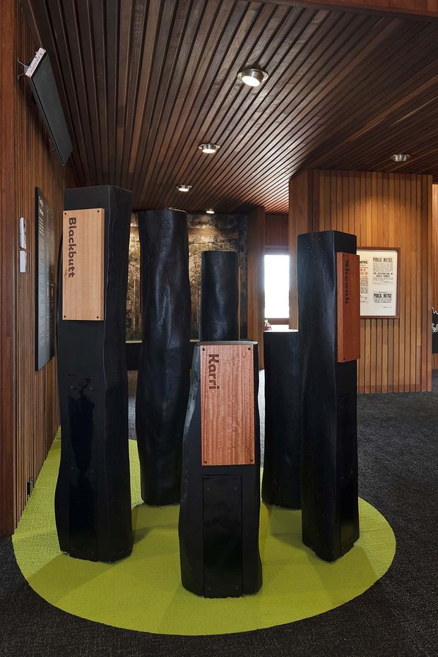Interior display area with tall black sculptural forms and timber information plaques labelled with native tree species such as Blackbutt and Karri. The space features dark timber slatted wall and ceiling lining, recessed spotlights, dark carpet, a bright green irregularly shaped carpet inset, and a stone-textured feature wall at the rear.