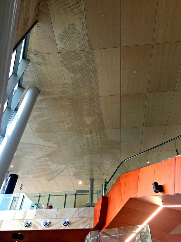 Interior architectural view of a contemporary multi-level public or commercial space, looking upward toward a warm timber-lined ceiling with regular panel joints and perforated acoustic sections. Slender cylindrical columns, extensive glazing, glass balustrades, recessed spotlights, exposed ventilation outlets, and a vivid orange-red feature wall and stair or mezzanine structure create a bold modern interior.