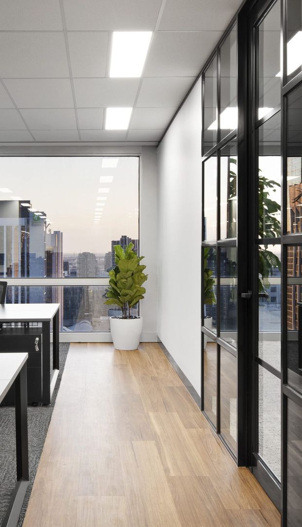 A bright contemporary commercial office interior with light timber flooring, white walls, a suspended white acoustic tile ceiling, and black-framed glazed partitions. Workstations and meeting tables occupy the left side, while a potted plant sits beside full-height glazing overlooking a dense city skyline. Reflections in the glass reinforce the open, glass-partitioned workplace layout.