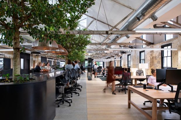 Open-plan industrial-style commercial workplace with shared desks, computer workstations, office chairs, meeting areas, indoor trees, and a central communal counter. The space has exposed timber roof trusses, visible ductwork, large black-framed windows, concrete and weathered wall surfaces, pendant lighting, and timber flooring.