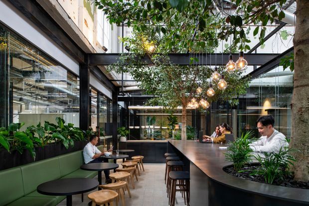 A contemporary indoor commercial space arranged around a lush planted atrium. Black steel-framed glazing, dark built-in cabinetry and a long central bar counter are paired with green banquette seating, timber stools, pendant globe lights and mature indoor trees. People are seated at tables and the counter, suggesting a café, restaurant or hospitality venue.