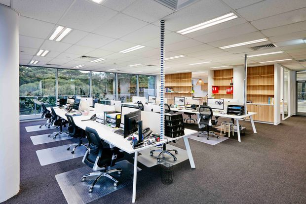 Bright open-plan commercial office with rows of white desks, black ergonomic task chairs, computer workstations, shelving and storage joinery. The space has full-height glazing along one side overlooking greenery, a suspended acoustic tile ceiling with recessed fluorescent lighting, and dark carpet flooring. The fit-out is clean, functional and contemporary.