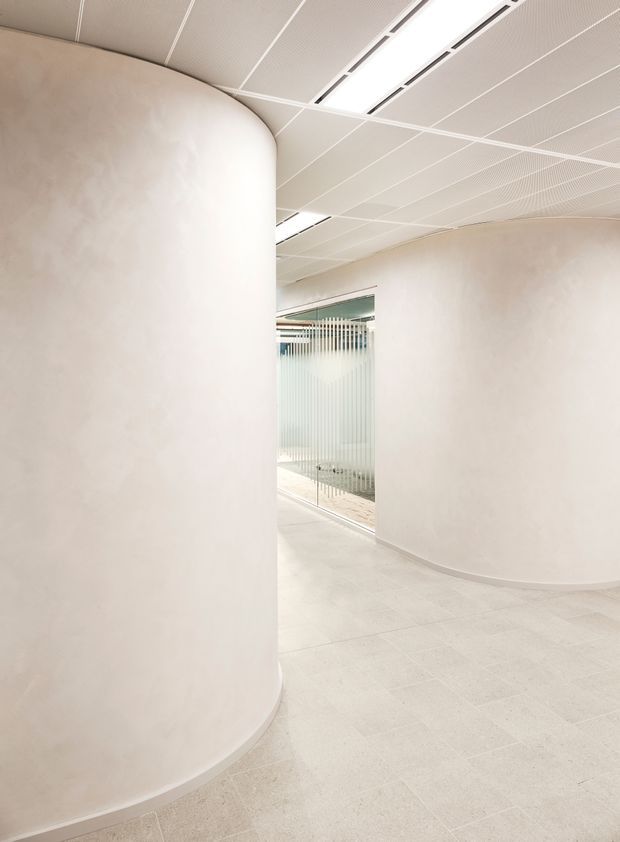 A bright, minimalist commercial interior hallway with large rounded plastered walls, a pale tiled floor, and a suspended linear acoustic ceiling with integrated strip lighting. A glazed partition with vertical translucent detailing is visible in the background.