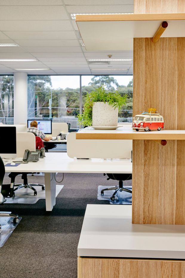 A bright contemporary office interior with open-plan workstations, white desks, ergonomic office chairs, computers, and large windows overlooking trees. In the foreground is a built-in light wood display shelving unit with white shelves, a potted plant, and a small decorative vehicle. The space has a suspended acoustic ceiling with fluorescent-style lighting and grey carpet flooring.