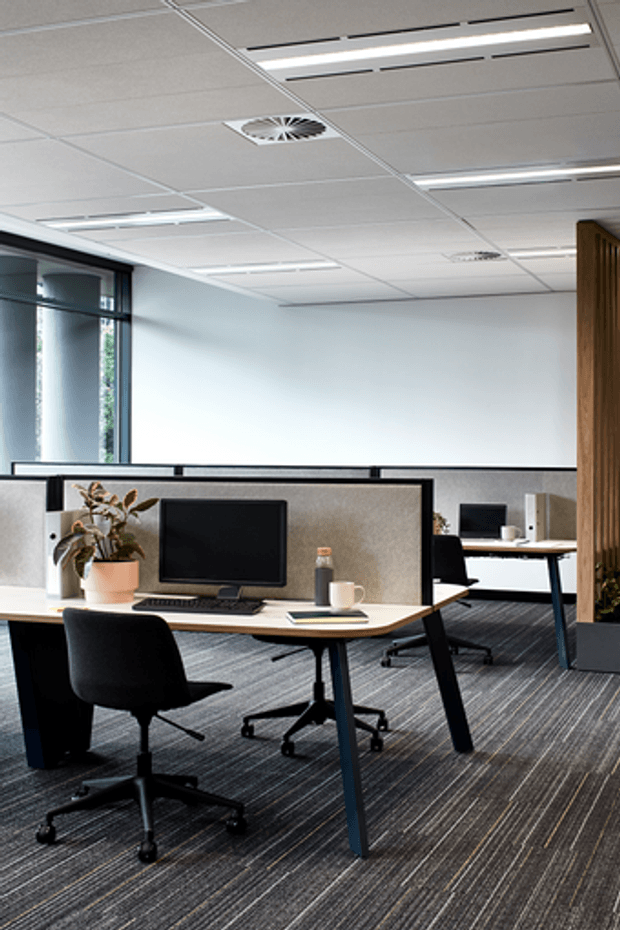 A bright contemporary open-plan office with workstation desks, black ergonomic office chairs, computer monitors, low acoustic privacy screens, a carpeted floor, exposed grid ceiling with linear fluorescent lighting, and large windows. A timber slatted partition adds a warm architectural feature at the right.