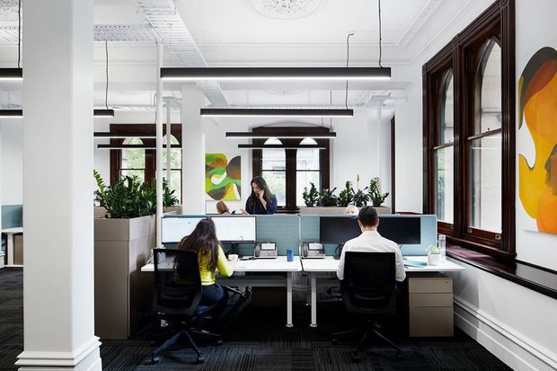 Bright open-plan office interior in a refurbished ornate building, with white decorative ceilings and columns, dark timber-framed arched windows, linear pendant lighting, planted built-in partitions, and shared workstation desks. Two employees are seated at computer workstations, with colourful abstract artwork on the walls.