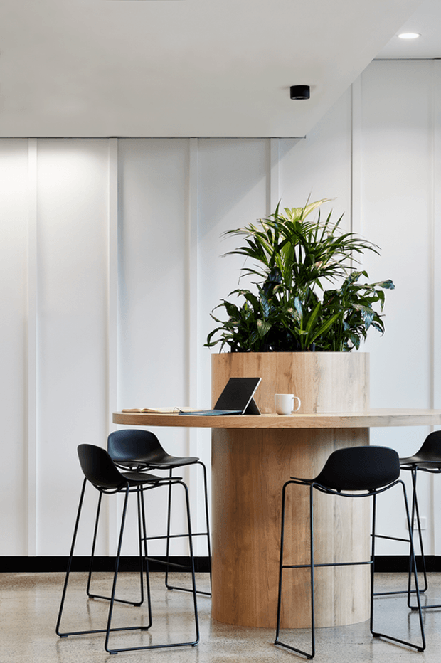 A bright minimalist office or commercial breakout area with a tall light-wood communal table, black bar stools, a laptop, and a large integrated planter filled with leafy greenery. White vertical wall panelling, recessed ceiling lighting, and a pale polished floor create a clean contemporary setting.