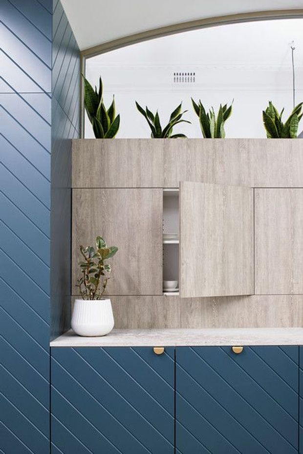 A close-up of a built-in storage and cabinetry wall featuring deep blue diagonal-groove panels, pale timber-look upper cabinetry, and a light benchtop. Open shelving displays small crockery, while potted plants sit along the top beneath a large interior window. The design uses strong geometric joinery and contrasting blue and pale wood tones.