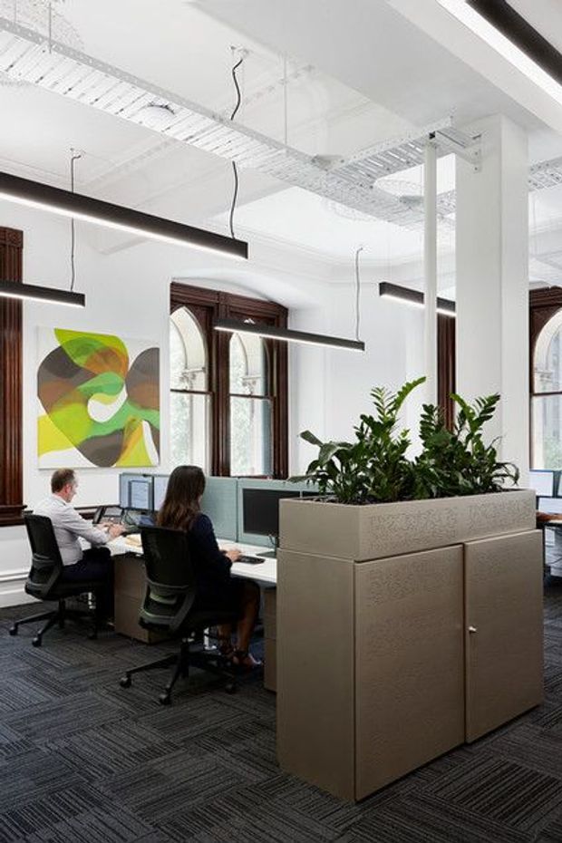 Bright open-plan office interior in a heritage-style building, with high white ceilings, exposed services, tall arched timber-framed windows, linear suspended black lighting, carpet tile flooring, workstations, and a large integrated planter/storage divider with indoor greenery. Contemporary office fit-out contrasts with the historic architectural shell.