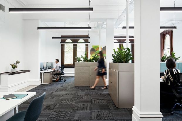 Bright open-plan office interior with white walls, decorative ceiling mouldings, tall timber-framed arched windows, suspended linear black pendant lighting, grey modular carpet tiles, desks, office chairs, and large built-in planter/storage partitions. The space combines heritage architectural detailing with a contemporary commercial fit-out.