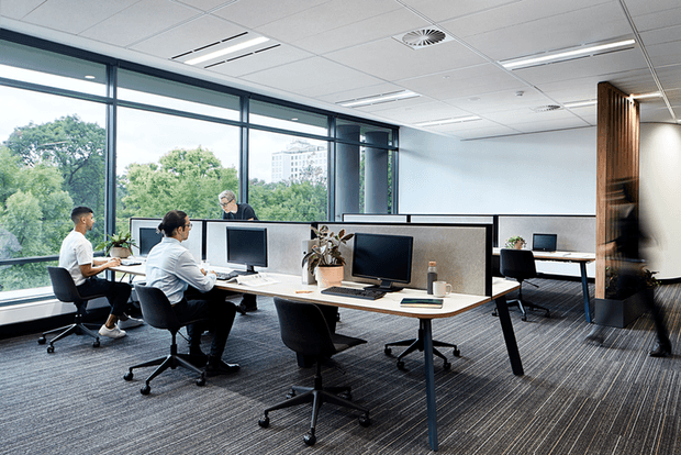Contemporary open-plan office interior with multiple individual workstations, computer monitors, ergonomic black office chairs, low partition screens, and indoor plants. Floor-to-ceiling windows provide abundant daylight and views of trees and nearby buildings. The office has a suspended acoustic tile ceiling, dark carpet flooring, and a timber-lined feature wall with integrated shelving or joinery.