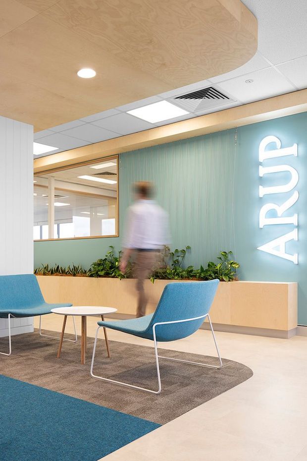 A bright contemporary commercial reception and waiting area with two blue upholstered lounge chairs and a small round table on layered rugs. A long pale wood reception counter with integrated planter beds sits against a muted teal feature wall with a large illuminated vertical ARUP sign. Glazed office partitions, white acoustic ceiling tiles, recessed lighting, exposed HVAC vent, and a curved pale timber ceiling feature are visible.