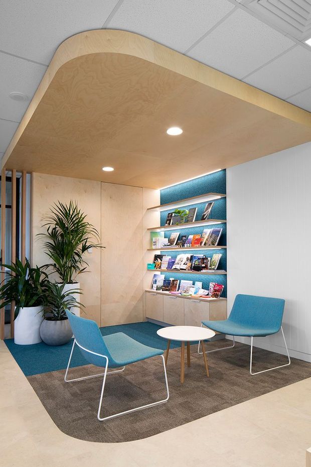 A compact contemporary commercial reception or waiting area with curved plywood ceiling and bulkhead, recessed downlights, pale timber wall panelling and built-in display shelving. The shelving has a textured blue-green backing and is stocked with brochures or books. Two blue upholstered lounge chairs and a small round white table sit on a layered rug, with potted plants adding greenery. A suspended acoustic tile ceiling and white fluted wall finish are visible.