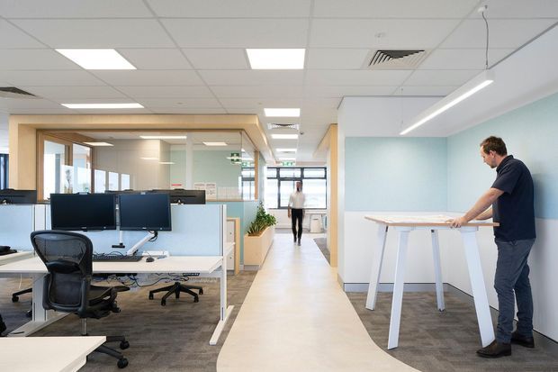 A bright contemporary open-plan office with shared workstations, dual computer monitors, ergonomic office chairs, glazed meeting-room partitions, and a standing-height collaboration table. The space has pale timber-framed glazing and joinery, light blue and white walls, carpeted work areas, a polished light floor circulation zone, linear pendant lighting, and a suspended acoustic tile ceiling.