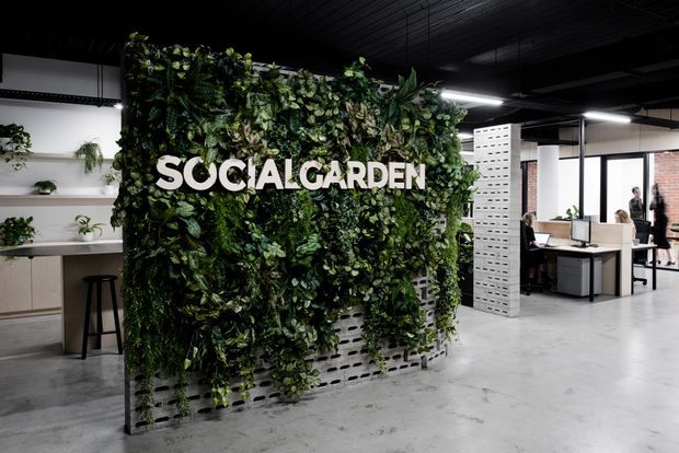 An open-plan commercial office interior with a prominent freestanding vertical green wall and large “SOCIALGARDEN” signage. The space has an exposed dark ceiling, suspended linear lighting, polished concrete flooring, white perforated masonry screens, workstations, and additional indoor plants.