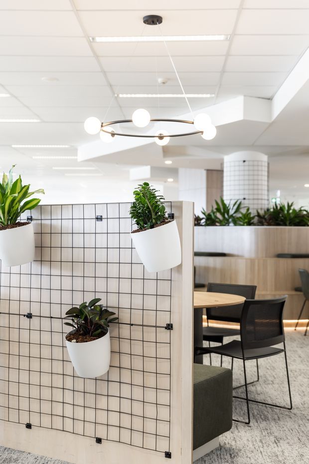 Bright contemporary commercial office interior with an open-plan breakout and meeting area. A black wire-grid partition with white hanging planters separates the foreground from a round timber meeting table, black mesh chairs, upholstered seating, and a raised planter divider. The space has a suspended acoustic tile ceiling, integrated fluorescent lighting, a sculptural circular pendant, light timber joinery, white surfaces, patterned carpet, and abundant indoor greenery.